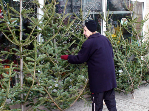 Brzi in piata Izvoarele (c) eMM.ro